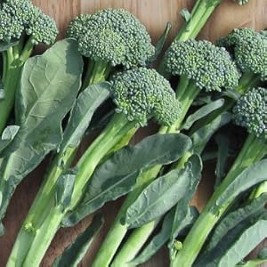 NATURE'S ANSWER BROCCO-GLUTATHIONE