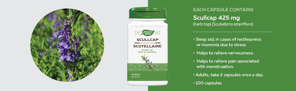 NATURE'S WAY SCULLCAP HERB