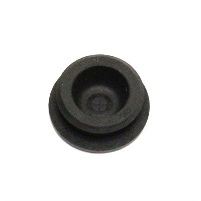DEXTROMETH PLSTX SS 30/5 89 12H