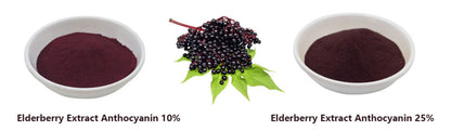 BLACK ELDERBERRY EXTRACT