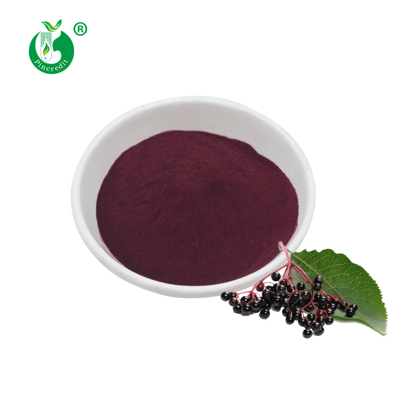 BLACK ELDERBERRY EXTRACT