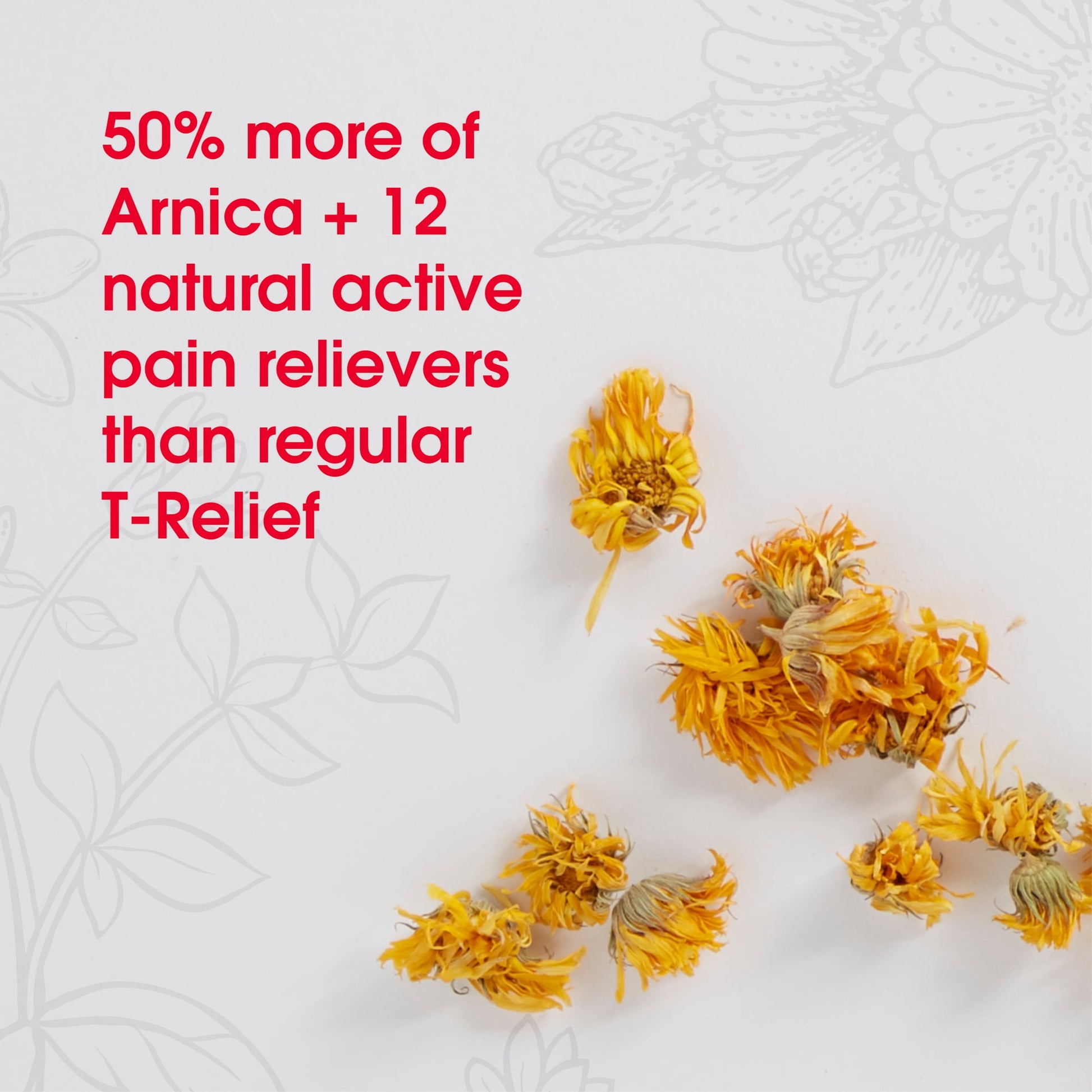 T-RELIEF-MEDINATURA GEL,PAIN RELIEF,ARNICA