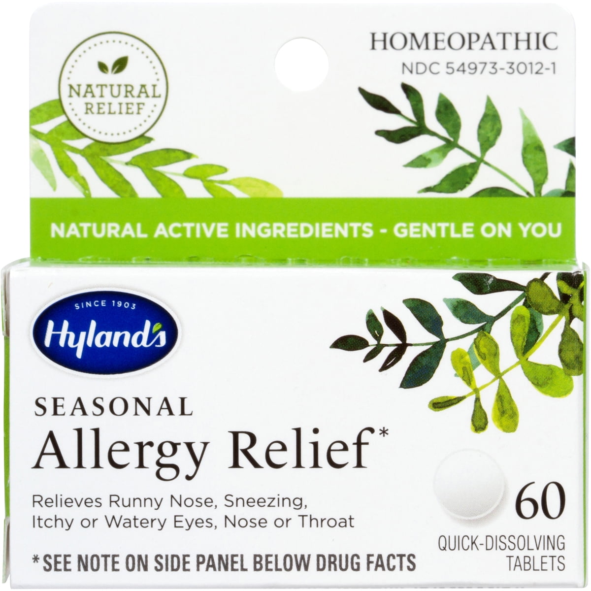 HYLAND'S SEASONAL ALLERGY RELIEF
