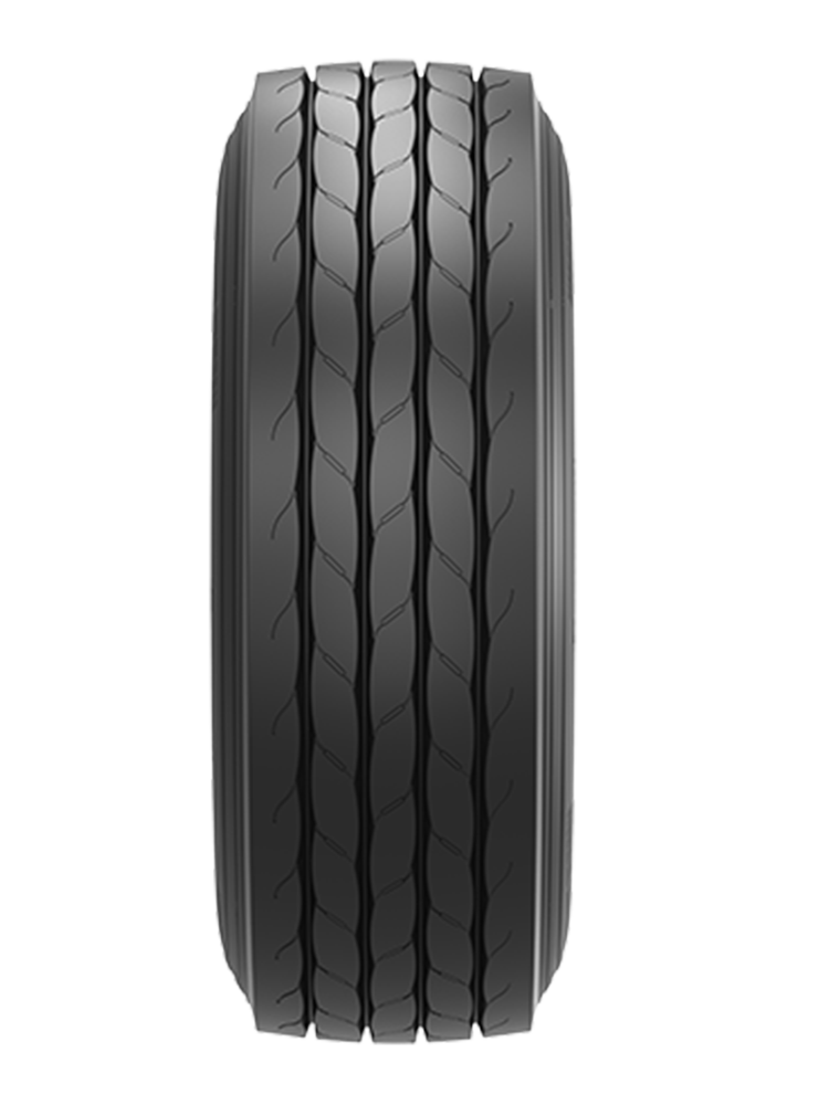 WHITE MOUNTAIN EPSLT CY100%6X1810