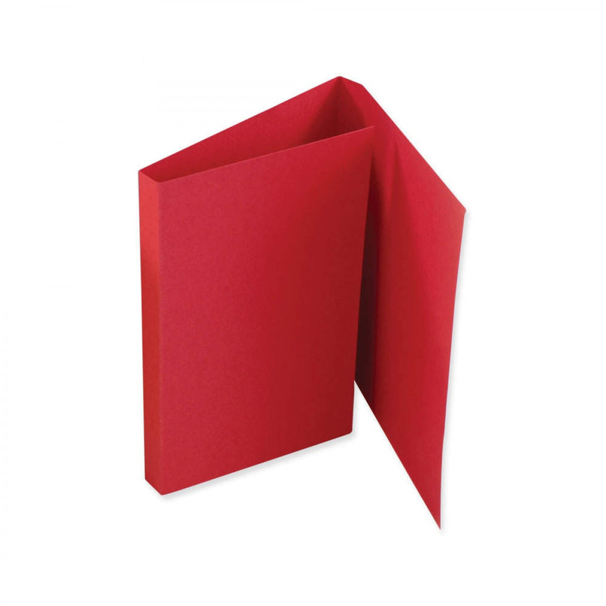 FILE FOLDER DOUBLE FOLD 100CT API