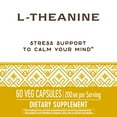 L-THEANINE,SUNTHEANINE