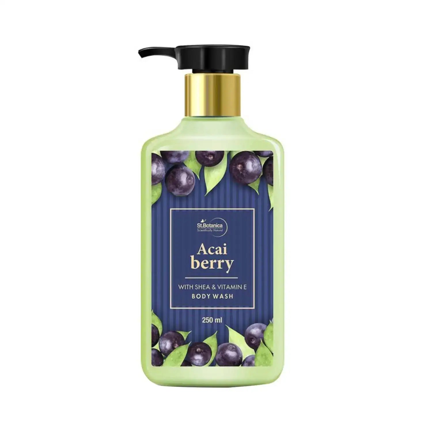 ST JELLY BODY WASH BB STR ACAI