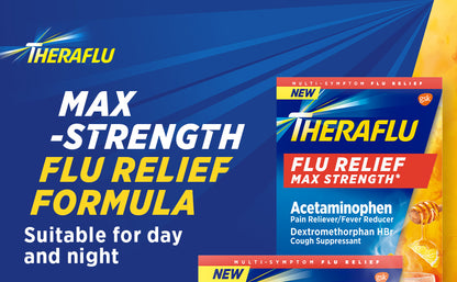 THERAFLU MAX STRENGTH RELIEF NT PWD 6CT