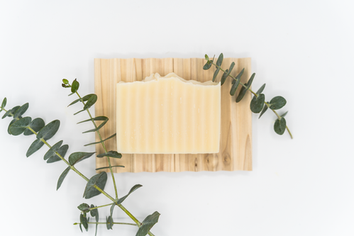Sunaroma Soap Bar Eucalyptus Tea Tree + Ginger 8oz