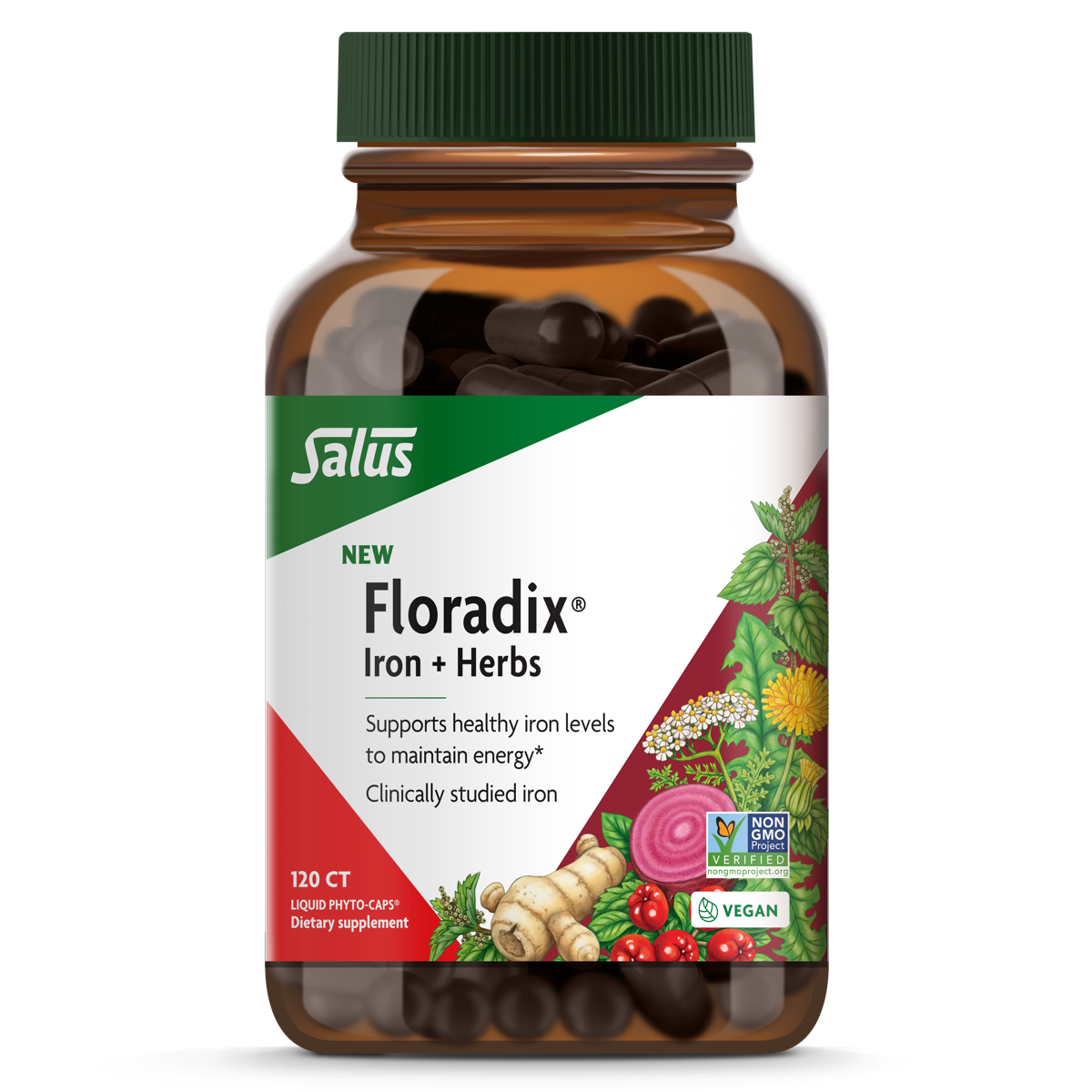 FLORADIX FLORADIX IRON AND HERBS