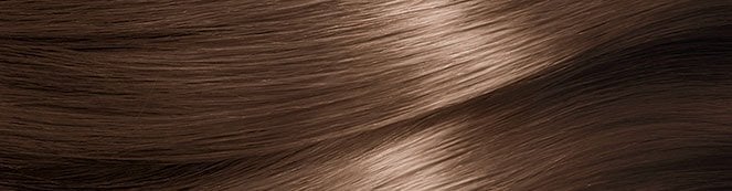 GARNIER NUTRISSE 60 ACORN