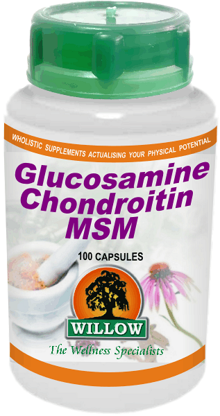 GLUC CHOND,MSM,HA,300MG