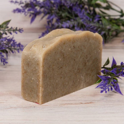 CANVAS GOAT MILK SHAMPOO 8 OZ