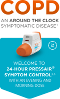 DUAKLIR PRESSAIR IN 400-12MCG60DS