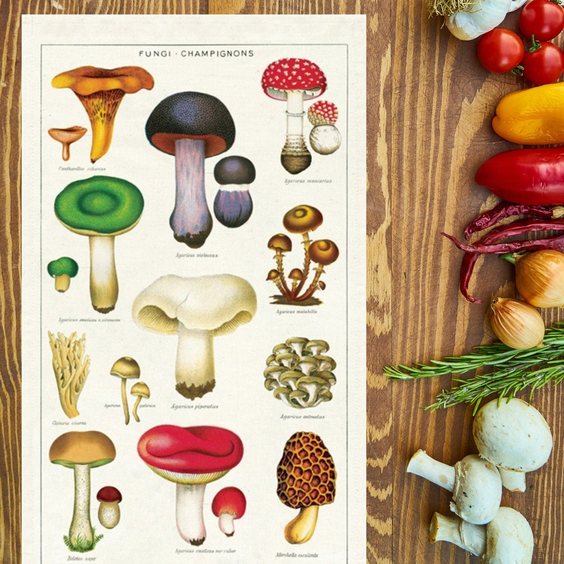MUkitchen Kitchen Towel - Mushroom