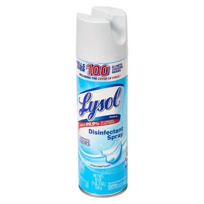 LYSOL DSFCT SPRY 12X19OZ EMBRZ
