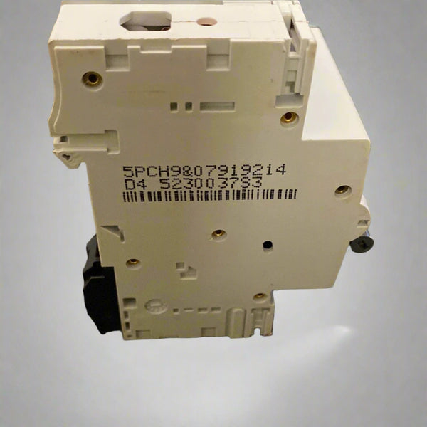 TRURCH PNTBTR 6 COL ROLI PK4 DSHP