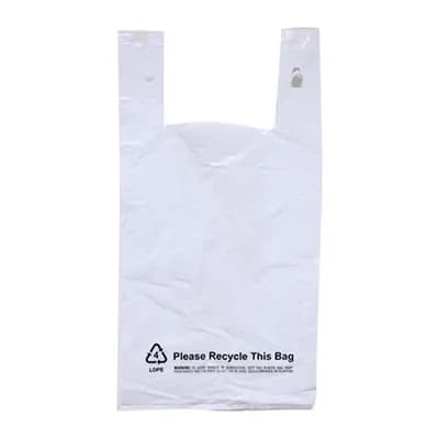 GNP BAG TSACK LG 12X7X23 1000