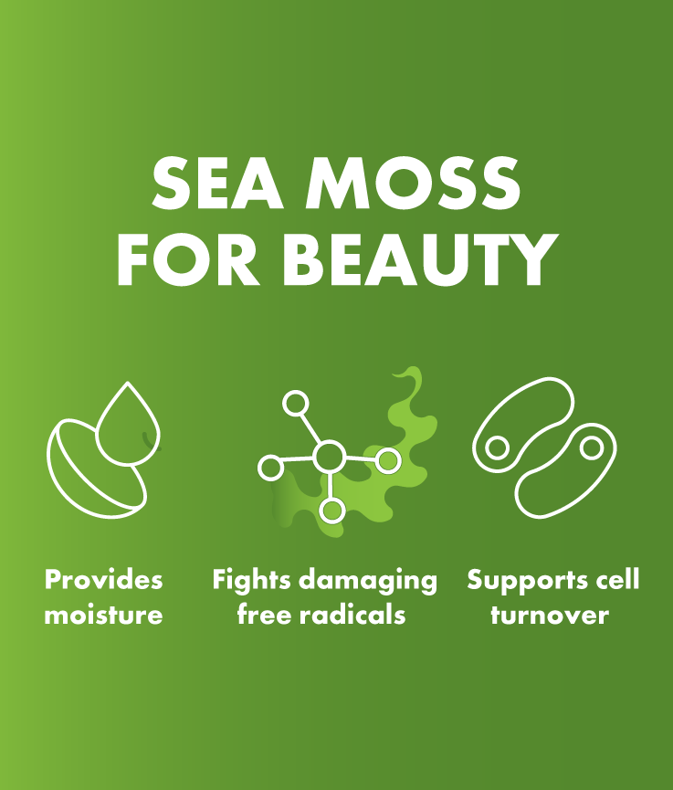 SEA MOSS NOUR/SHINE FOAM 5.75OZ