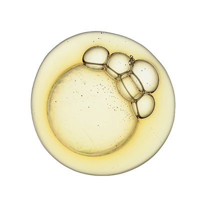 CNUT&JOJOBA OIL,OG2,COFF