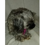 DENTAL DUO TINY DOG KT   DSHP