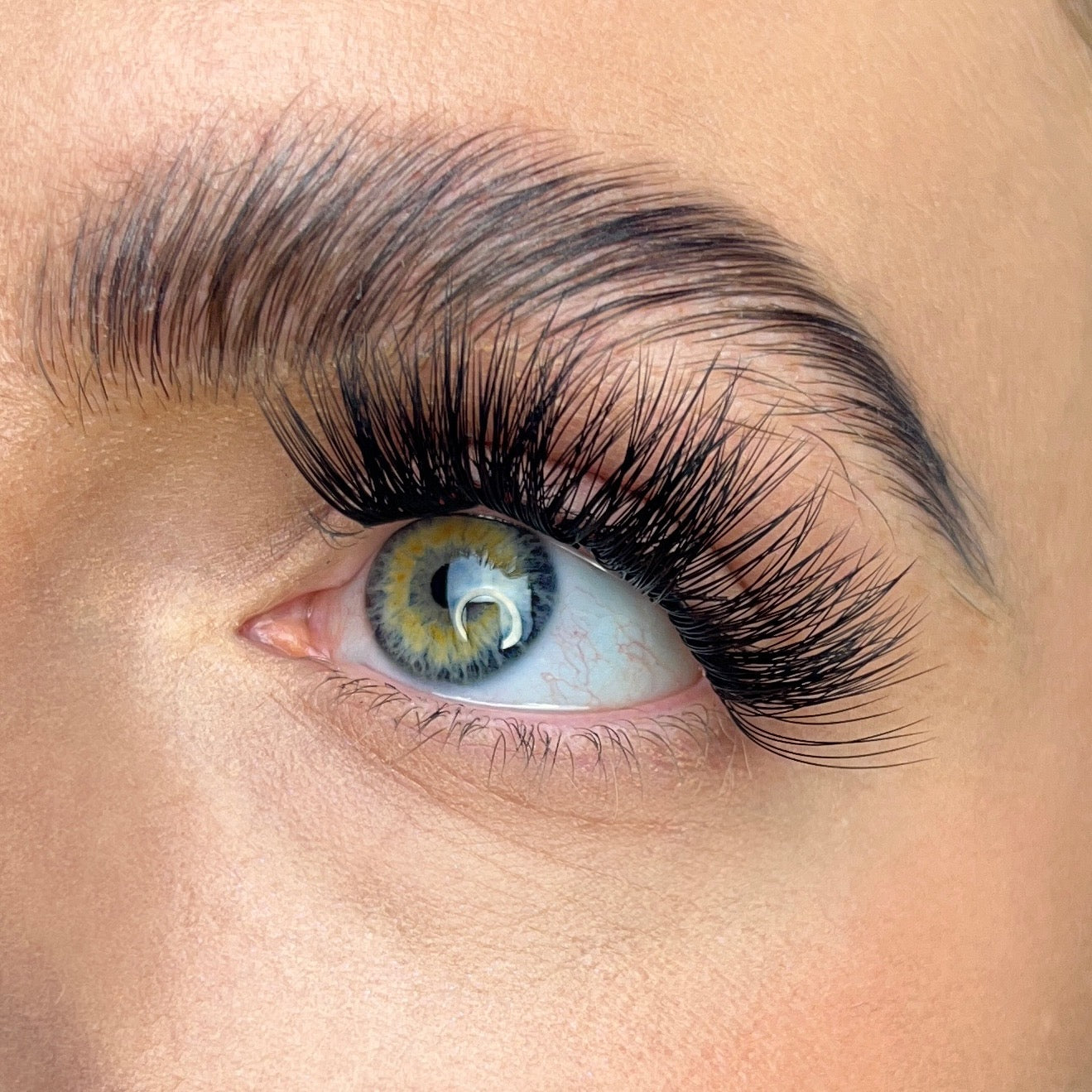 KISS FALSCARA Multipack Drama Lashes - Extra Drama Wisps, 30 count