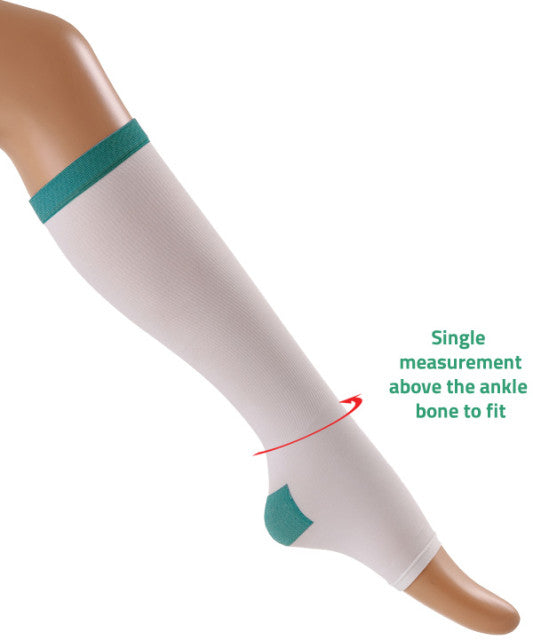 ANTIEMBOLISM STCKNG BELO KNEE CLSDTOE XL