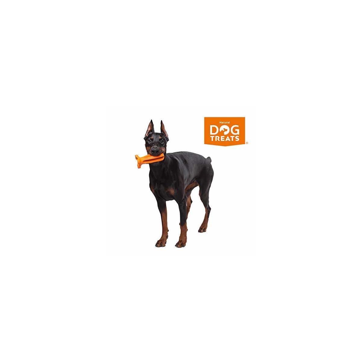 DOG TRT,BITES,CHKN,CART