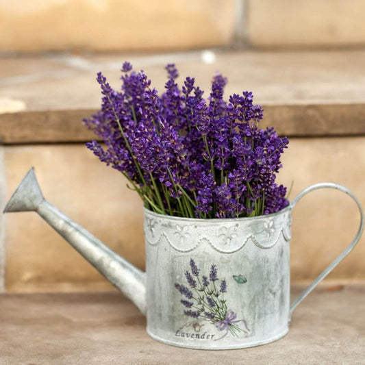 MIST,LAVENDER HYDROSOL