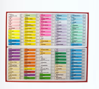 GUT HEALTH BASIC TEST KIT