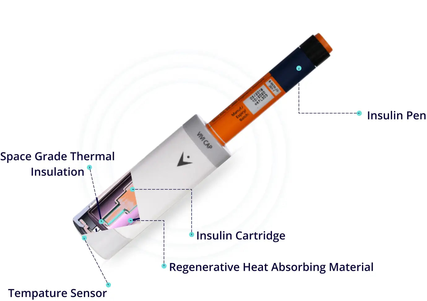 BITTER MLN,VCAP,DIABETES