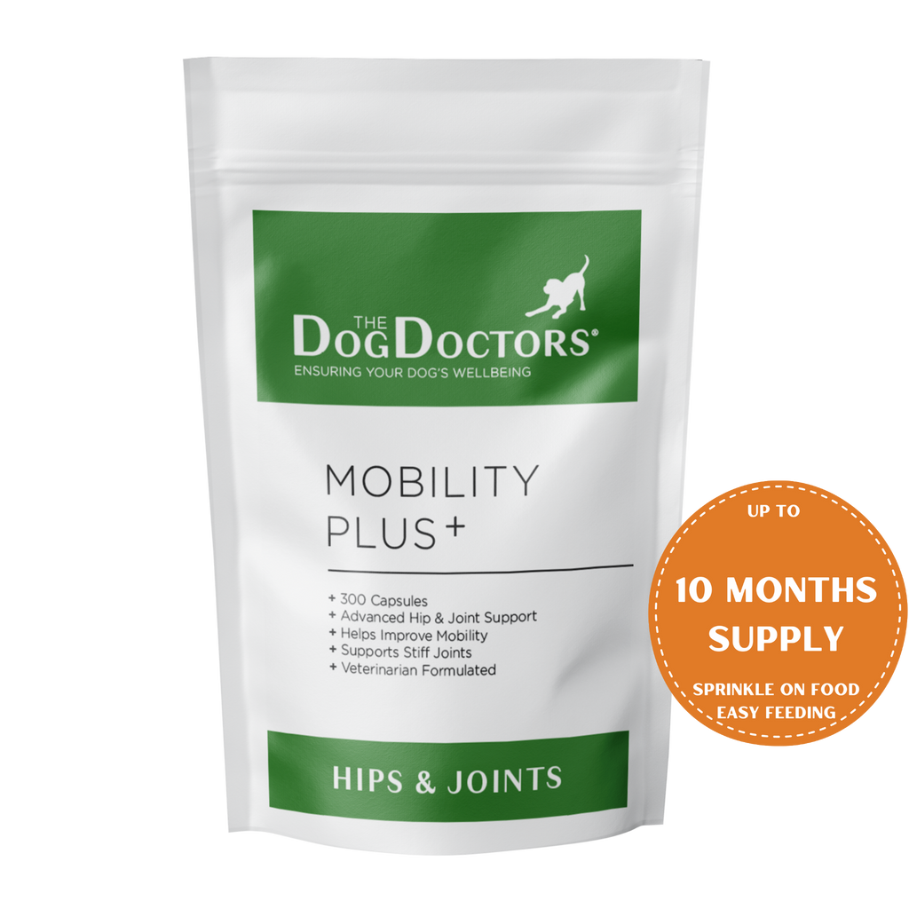 DOG SUPPLEMENT,MOBILITY