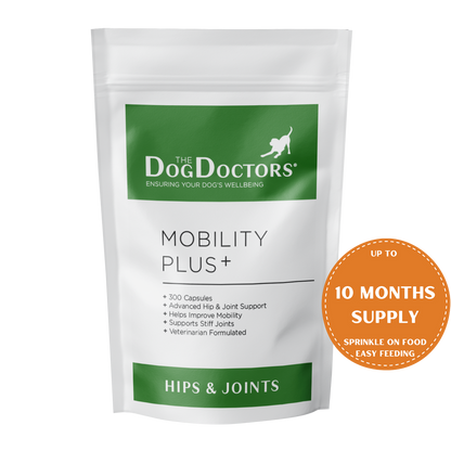 DOG SUPPLEMENT,MOBILITY