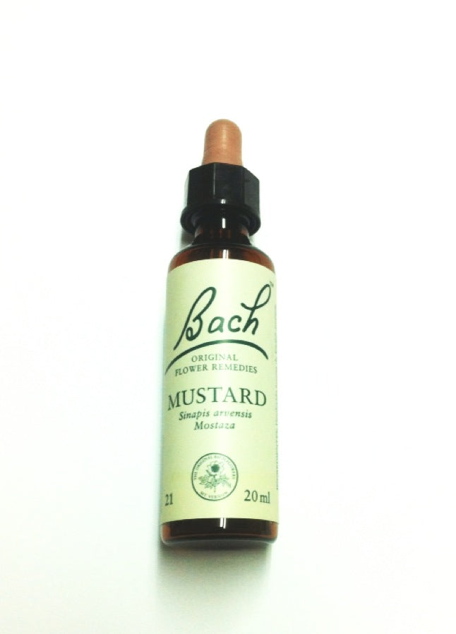 BACH MUSTARD