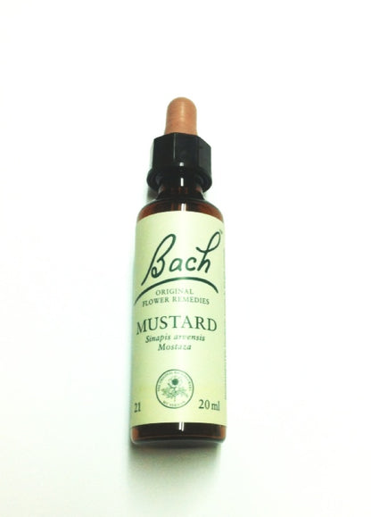 BACH MUSTARD