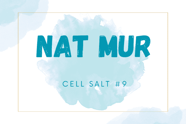 HYLAND'S NAT MUR 6X #9 CELL SALTS