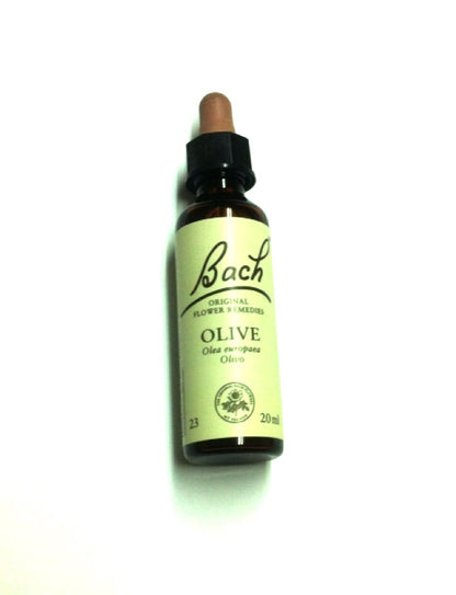 BACH OLIVE