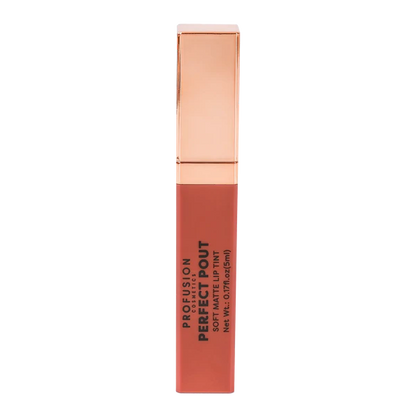 PERF POUT SM LIP TINT GRATEFUL