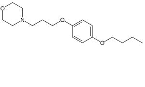 PRAMOXINE HCL 1% LOT 237 ML