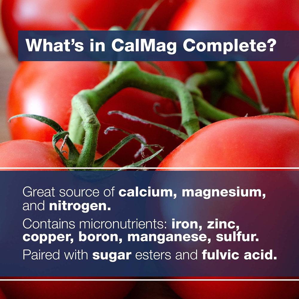 CALCIUM MAGNESIUM TB 60