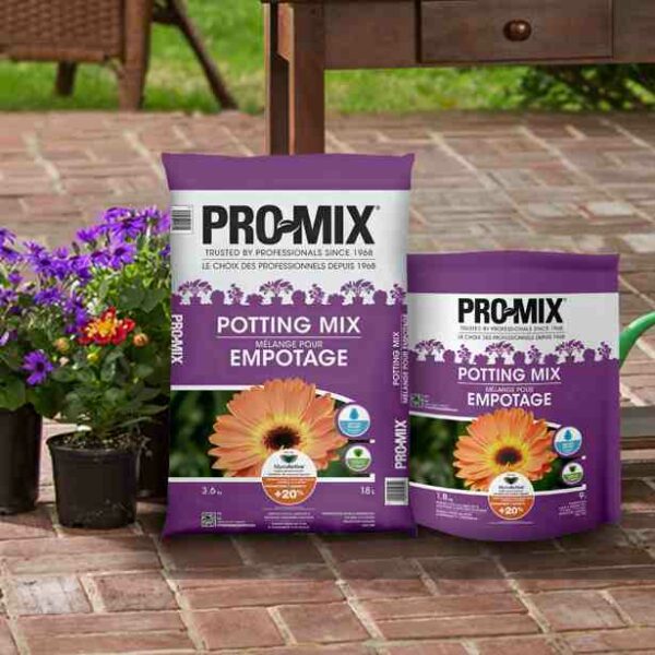 PROTN MIX,GROW DLY,PLAIN