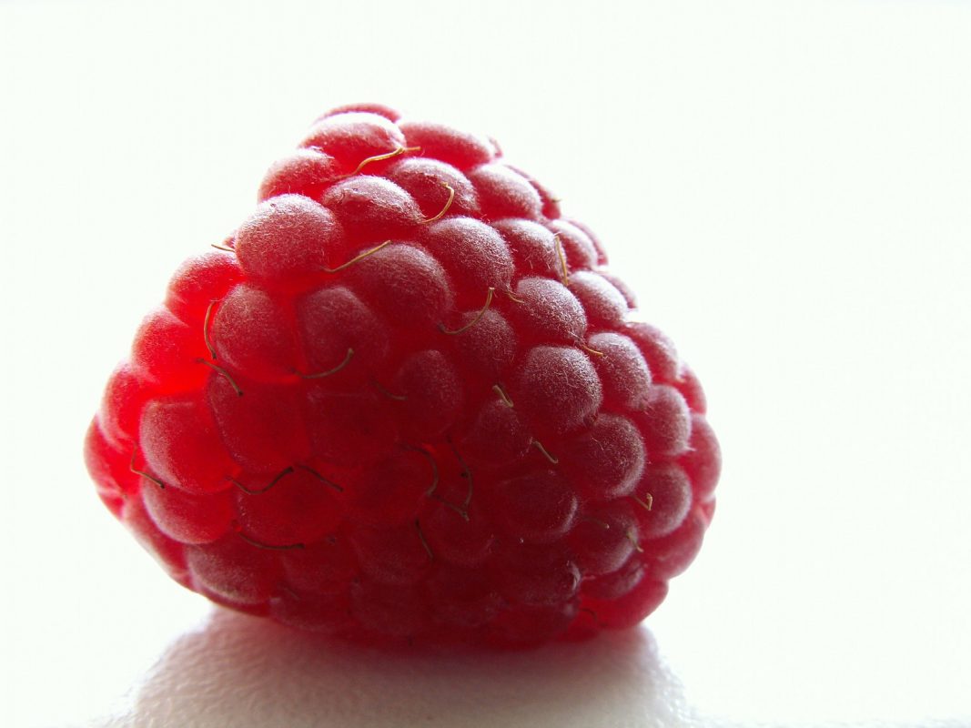 FLAVORX RASPBERRY FLAVOR 4OZ