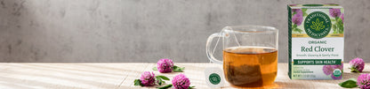 TRADITIONAL MEDICINALS HERB TEA,OG2,RED CLOVER