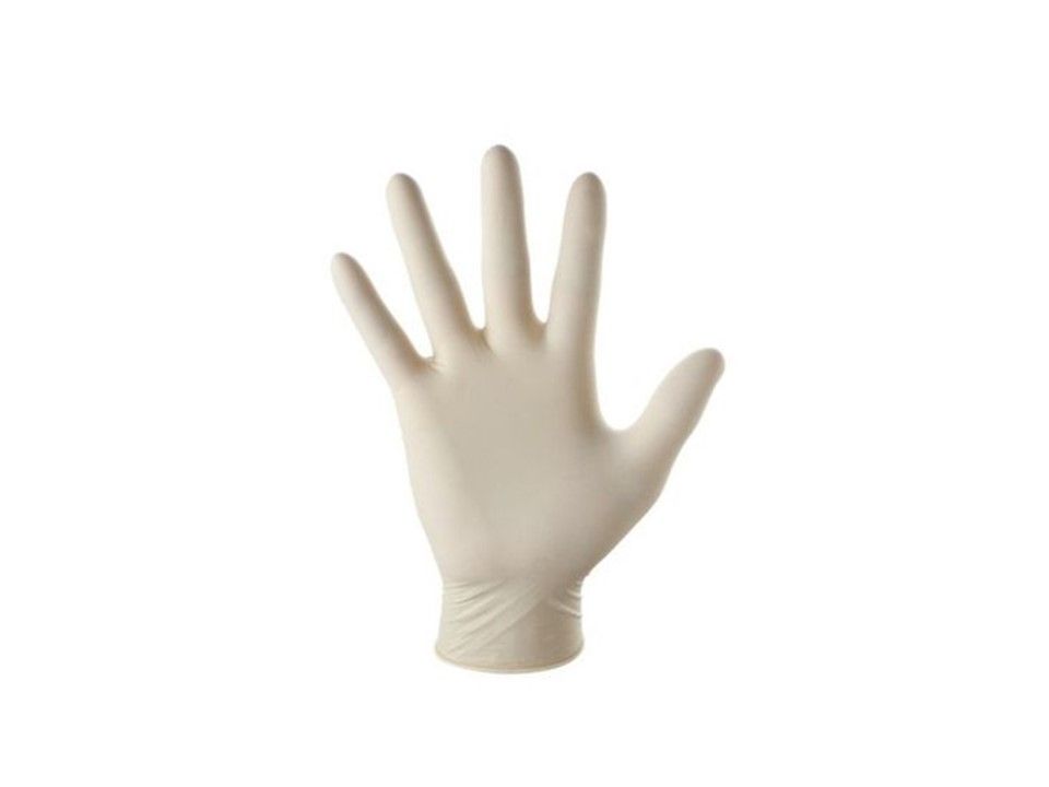 ANNIE LATEX GLOVE 10ct LRG#3847