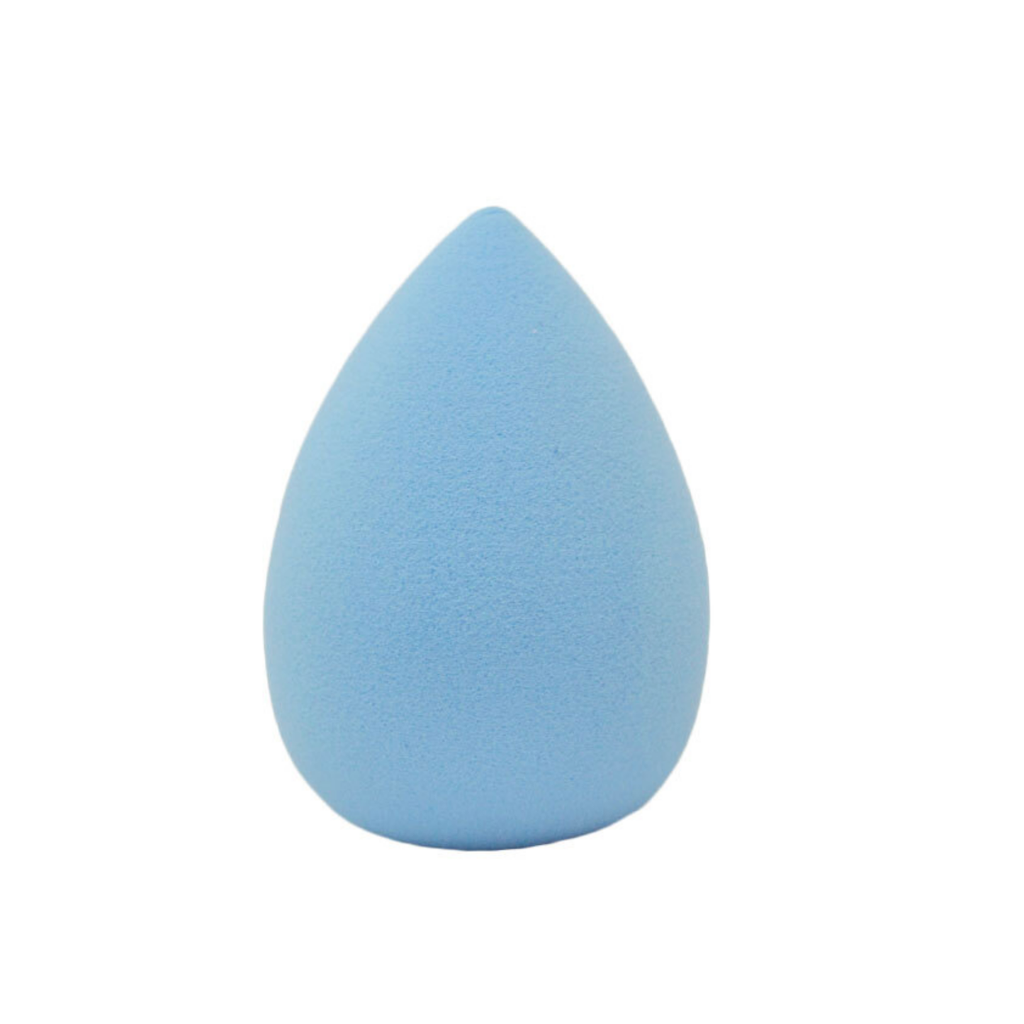 SPONGE BLENDER MKUP CLR CHANGE
