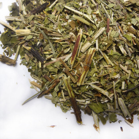 SCULLCAP HERB