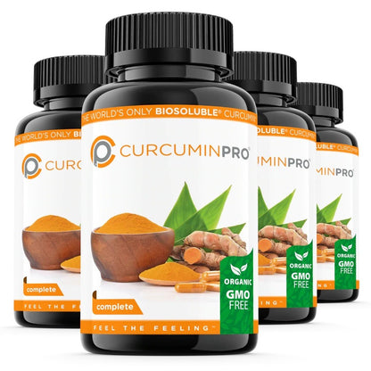 CURCUMIN PRO ACTIVE GC 90 SFG