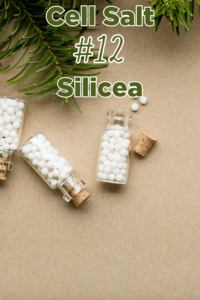 HYLAND'S SILICEA 6X #12 CELL SALTS