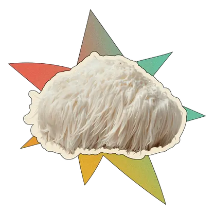 MUSH,SPRFD,LIONS MANE,CAP