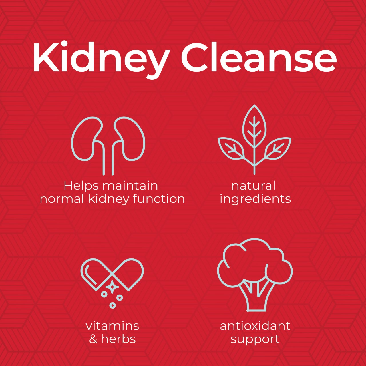 KIDNEY CLEANSE